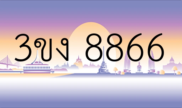 3ขง 8866